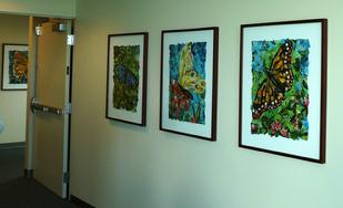 All four butterfly collage paintings in their new home at St Joseph's Hospital in Stockton, CA